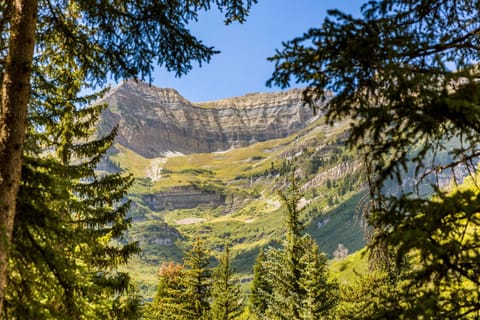 5 BEDROOM, MOUNTAIN VIEWS, SOUNDS OF STREAM, LARGE DECK, HOT TUB, CLASSIC SUNDANCE CABIN Cabin in Sundance