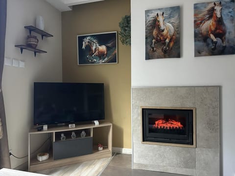 TV and multimedia