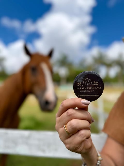 Day, Property logo or sign, Horse-riding, Animals