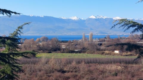 Peaceful Studio Lake View Apartment in Ohrid