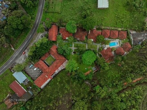 Natural landscape, Bird's eye view, Swimming pool