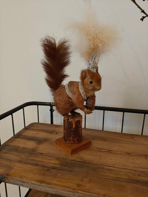 Nordisk hyggelig lejlighed Apartment in Aarhus