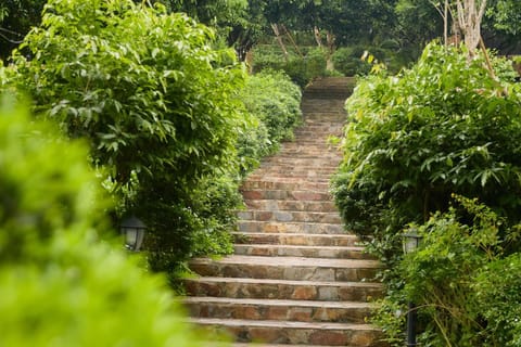 Day, Natural landscape