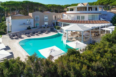 Property building, Swimming pool, sunbed