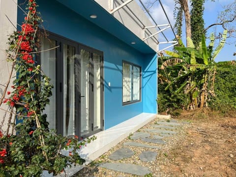 Property building, Garden view