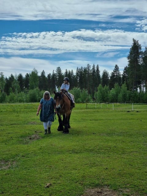 Tvåvåningshus i lantlig miljö House in Norrbotten County, Sweden