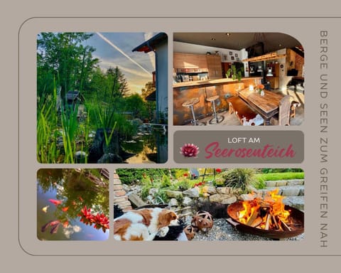 Garden, Food and drinks, Food, Pets, Garden view, pet friendly