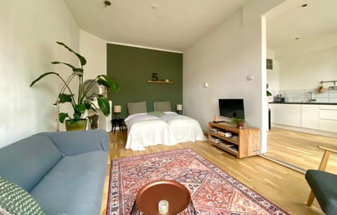 Apartment Havenstraat Apartment in Delft