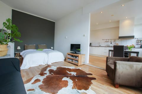 Living room, Bedroom