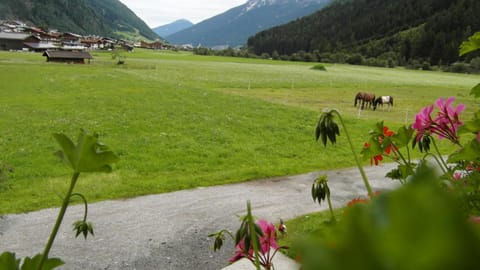 Luenerhof Country House in Neustift im Stubaital