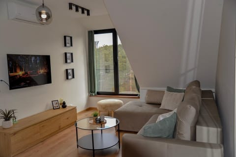 PANTEX Centar Zlatibor Apartment in Zlatibor