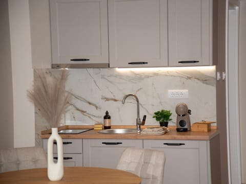 PANTEX Centar Zlatibor Apartment in Zlatibor