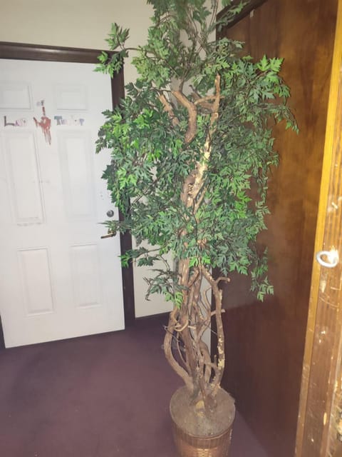 Budget Motel in Greenville