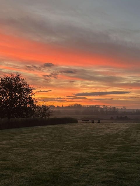 Garden, Balcony/Terrace