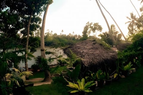 Natural landscape