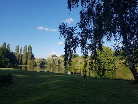 Lake view