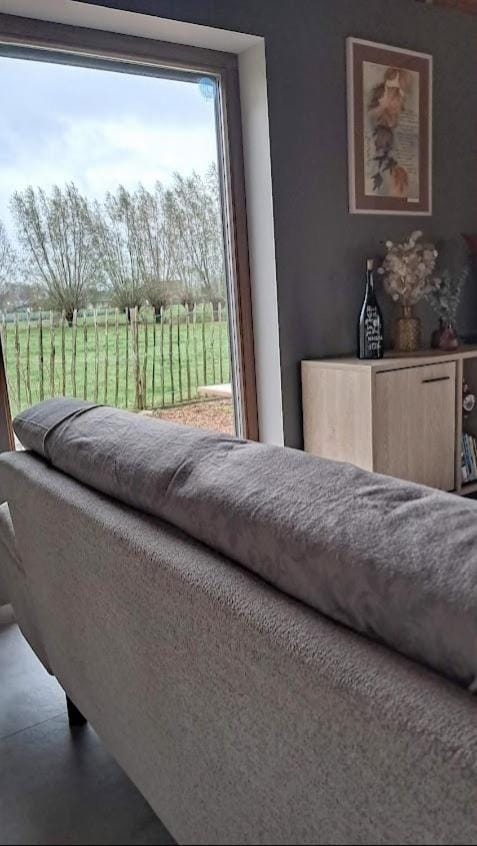 't Wilgennest, rust en gezelligheid gegarandeerd! House in Flanders