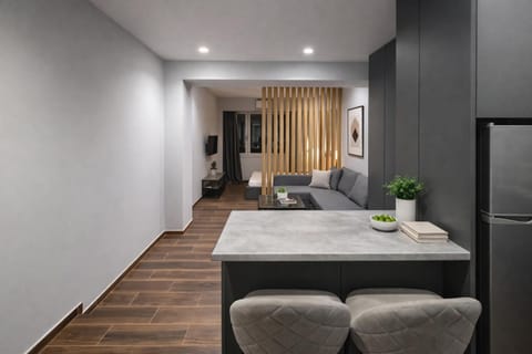 Piraeus Port Luxury Suites No1 Apartment in Pireas