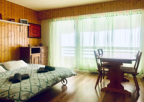 Studio Mont Rouge Veysonnaz 4 Vallées Apartment in Nendaz