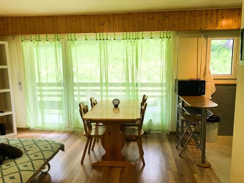 Studio Mont Rouge Veysonnaz 4 Vallées Apartment in Nendaz