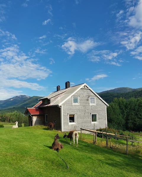 Property building, Natural landscape, Mountain view
