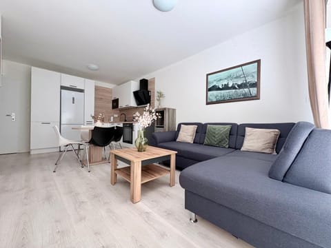 Living room, kitchen