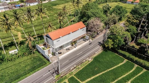 Property building, Day, Natural landscape, Street view