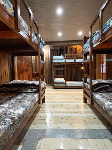 bunk bed