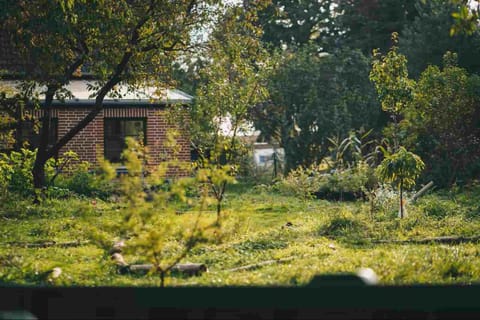 Property building, Garden