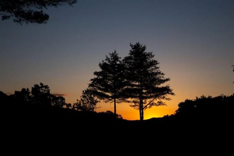 Beautiful Sunsets, fire pit, private, close to Bryson City House in Swain County