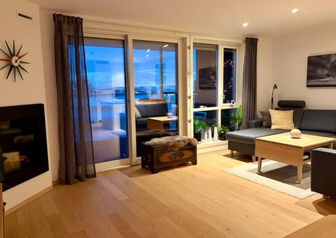 Hot Spring Bath, TV and multimedia, View (from property/room), Living room, Seating area, Dining area, heating, internet