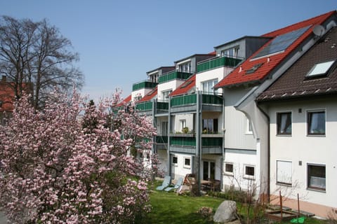 Property building, Day, Garden, Garden view