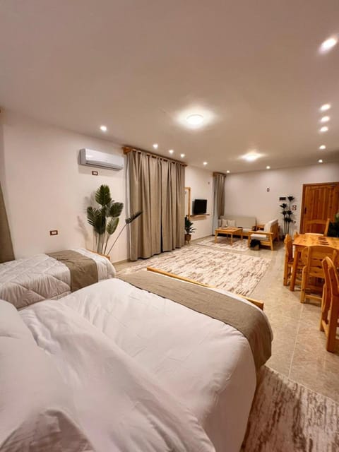 Bed, TV and multimedia, Balcony/Terrace, Kitchen or kitchenette, Living room, Other, Seating area, Bedroom, hair dryier, towels, dryer, kitchen, air conditioner