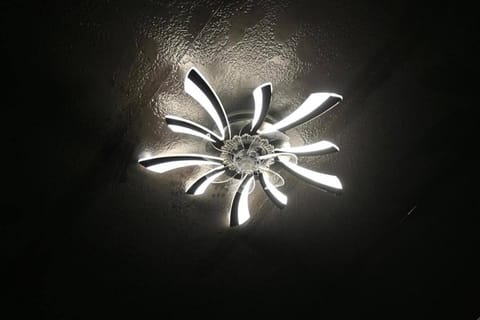 Tiny Space, Big Comfort Apartment in Lake Magdalene