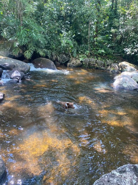 Chalé aconchegante em Resende Nature lodge in Resende