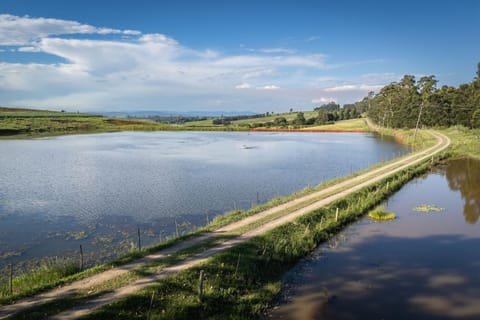 Day, Natural landscape, Lake view