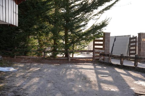 Cantore Dieci - Attico Cortina Apartment in Cortina d Ampezzo