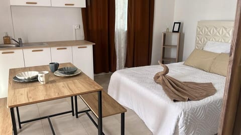 Kitchen or kitchenette, Photo of the whole room, Dining area, Bedroom