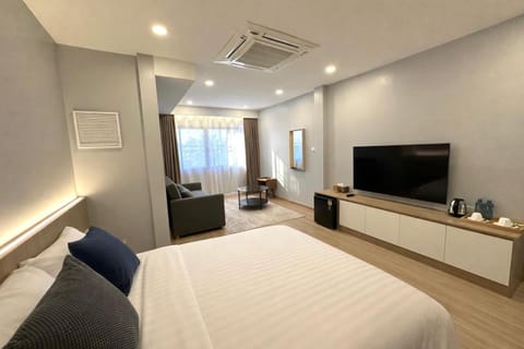 Bed, TV and multimedia, Living room, Photo of the whole room, Seating area, Bedroom, air conditioner