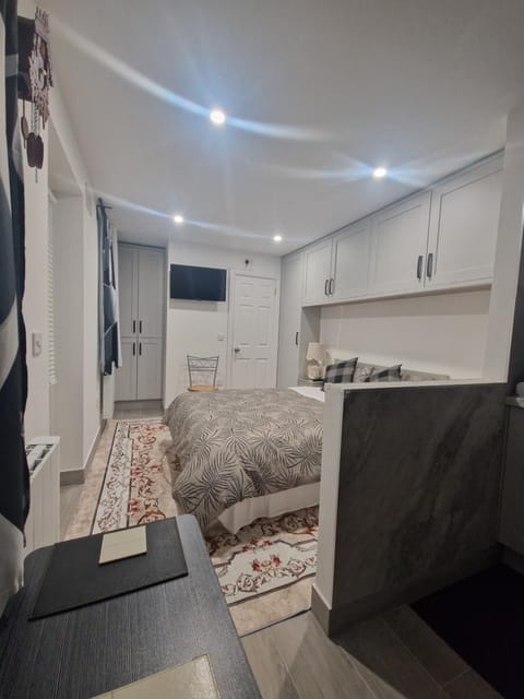 The Garden Studio Vacation rental in Dublin