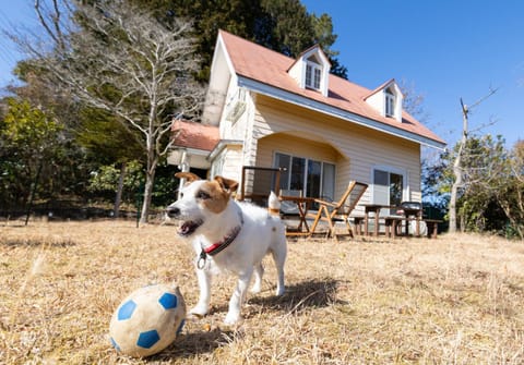 Property building, Day, Pets