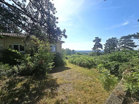 Day, Natural landscape, Garden, Garden view