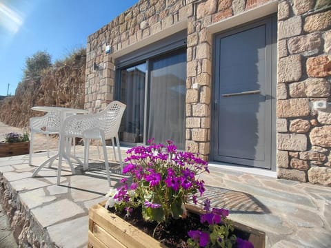 Property building, Patio, Balcony/Terrace