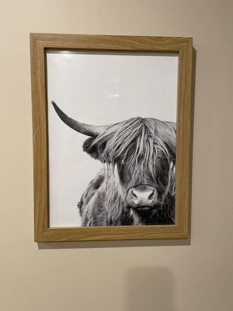 Seaside Hideaway by Grattan Beach Apartment in Salthill