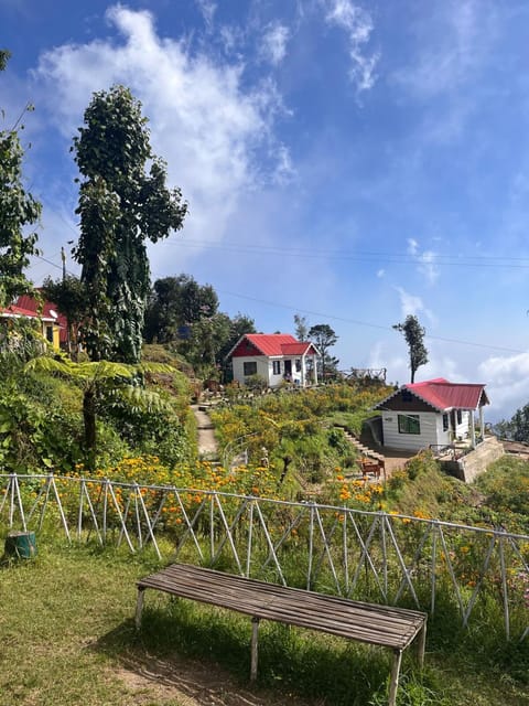 Property building, Spring, Day, Natural landscape, Garden, Garden view