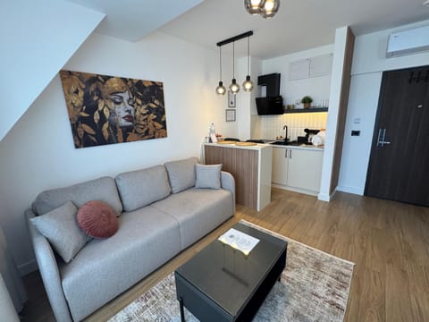 Kitchen or kitchenette, Living room, Seating area, Dining area