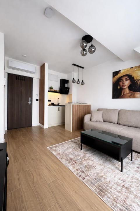 Kitchen or kitchenette, Living room, Seating area, kitchen