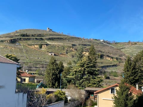 Bords du Rhone Apartment in Condrieu