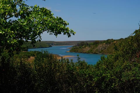 River view