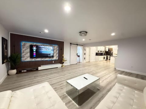 TV and multimedia, Living room